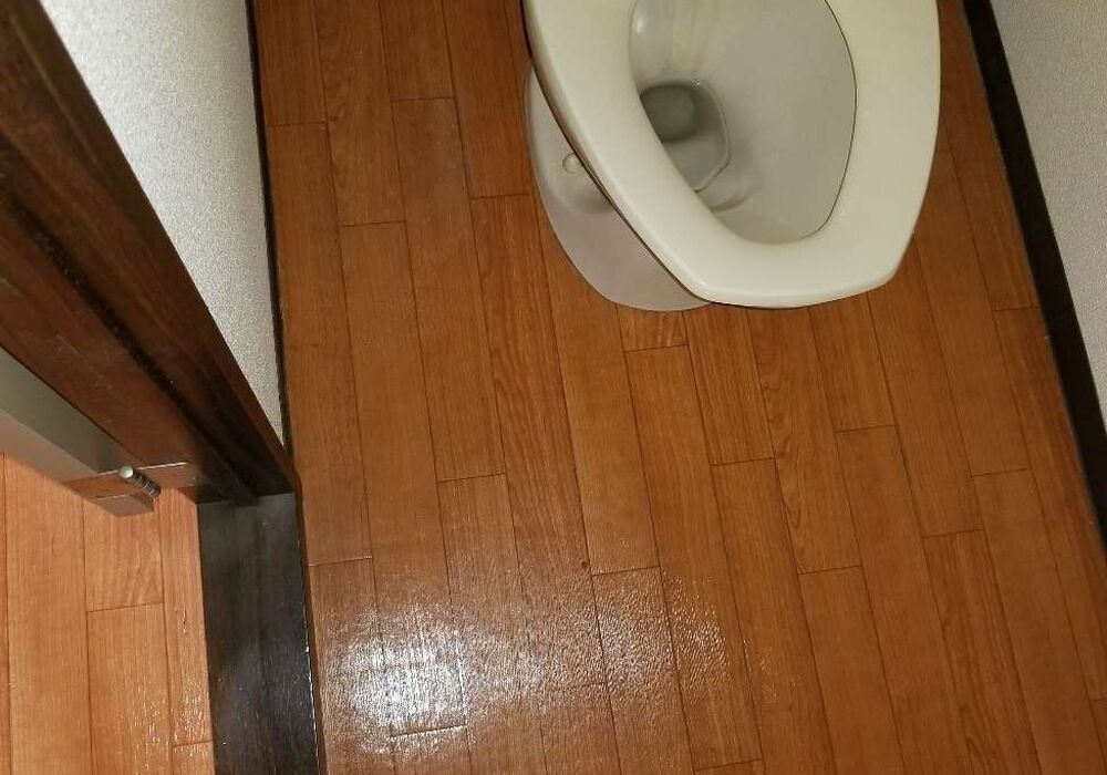 okxCDUJFgyejIfDGj_mvTw